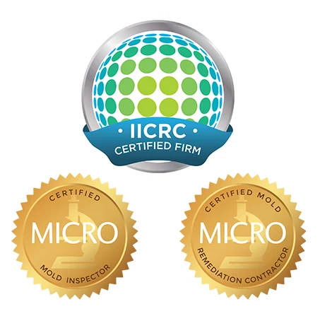 Extreme Sports Mountain Climbing