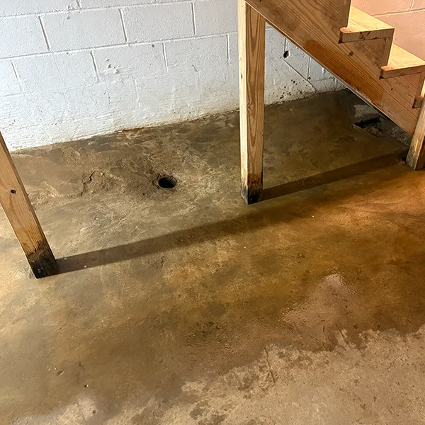 after mold remediation